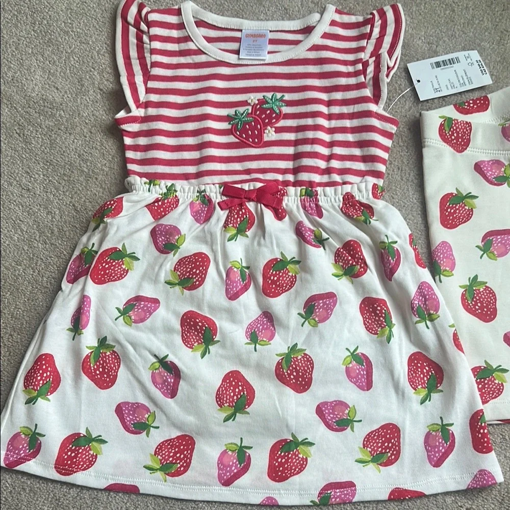 Gymboree charming casual